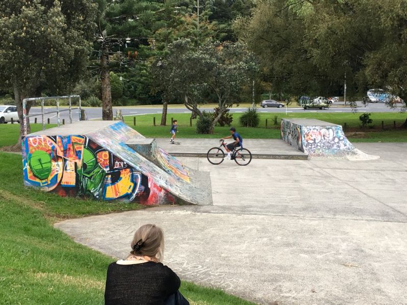 Willian Fraser Skatepark